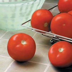 Sebring Tomato (Treated Seed)