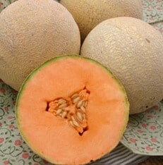 Ambrosia Cantaloupe (Farmore)