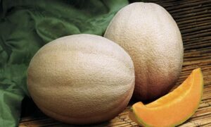 Aphrodite Cantaloupe (Farmore)