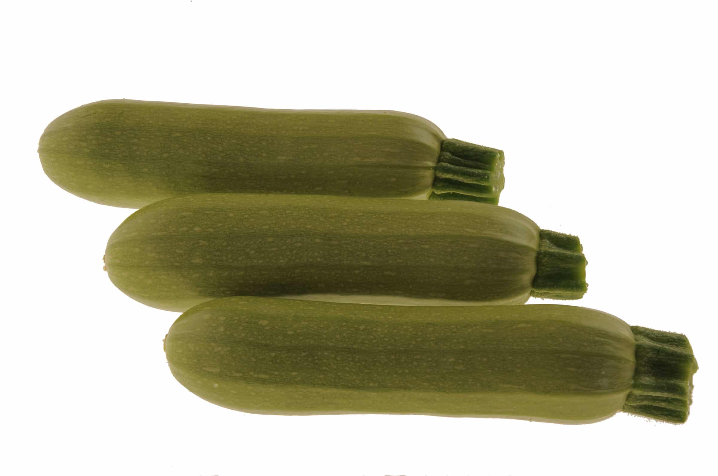 Alexandria Squash (Treated Seed)