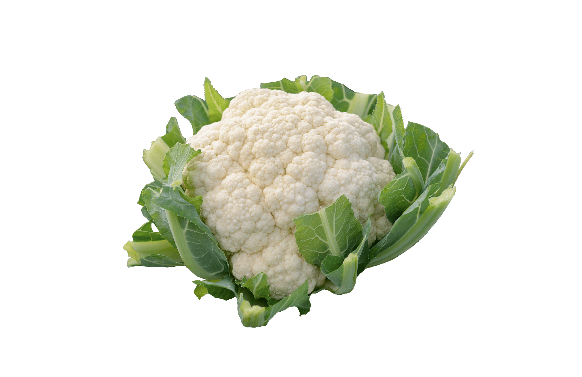 Amazing Cauliflower (Not Treated)