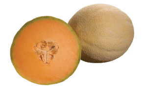 Atlantis Cantaloupe (Treated Seed)
