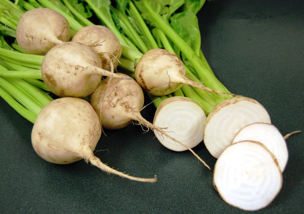 Avalanche Beet (Not Treated)