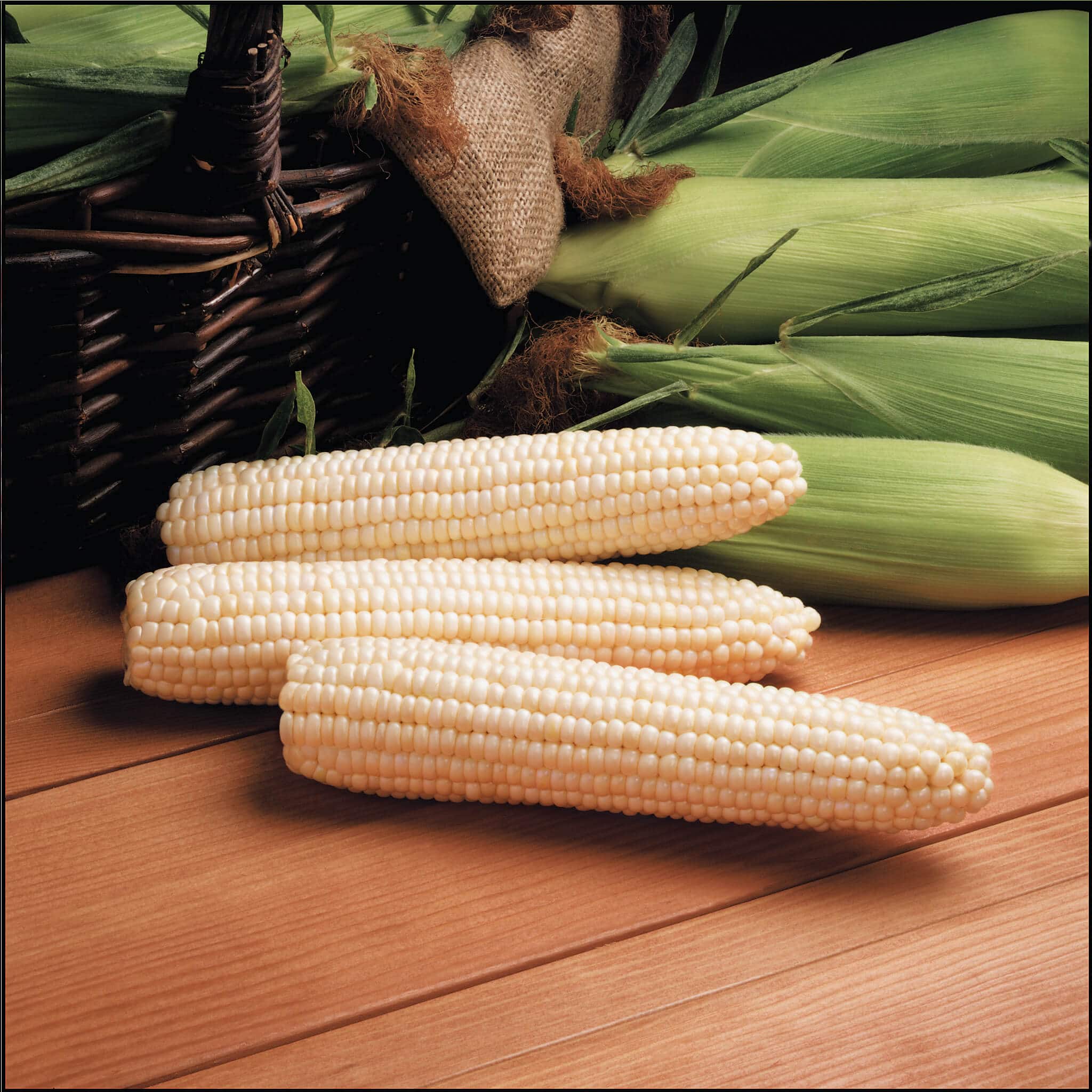 Avalon Sweet Corn (Cruiser Treated)