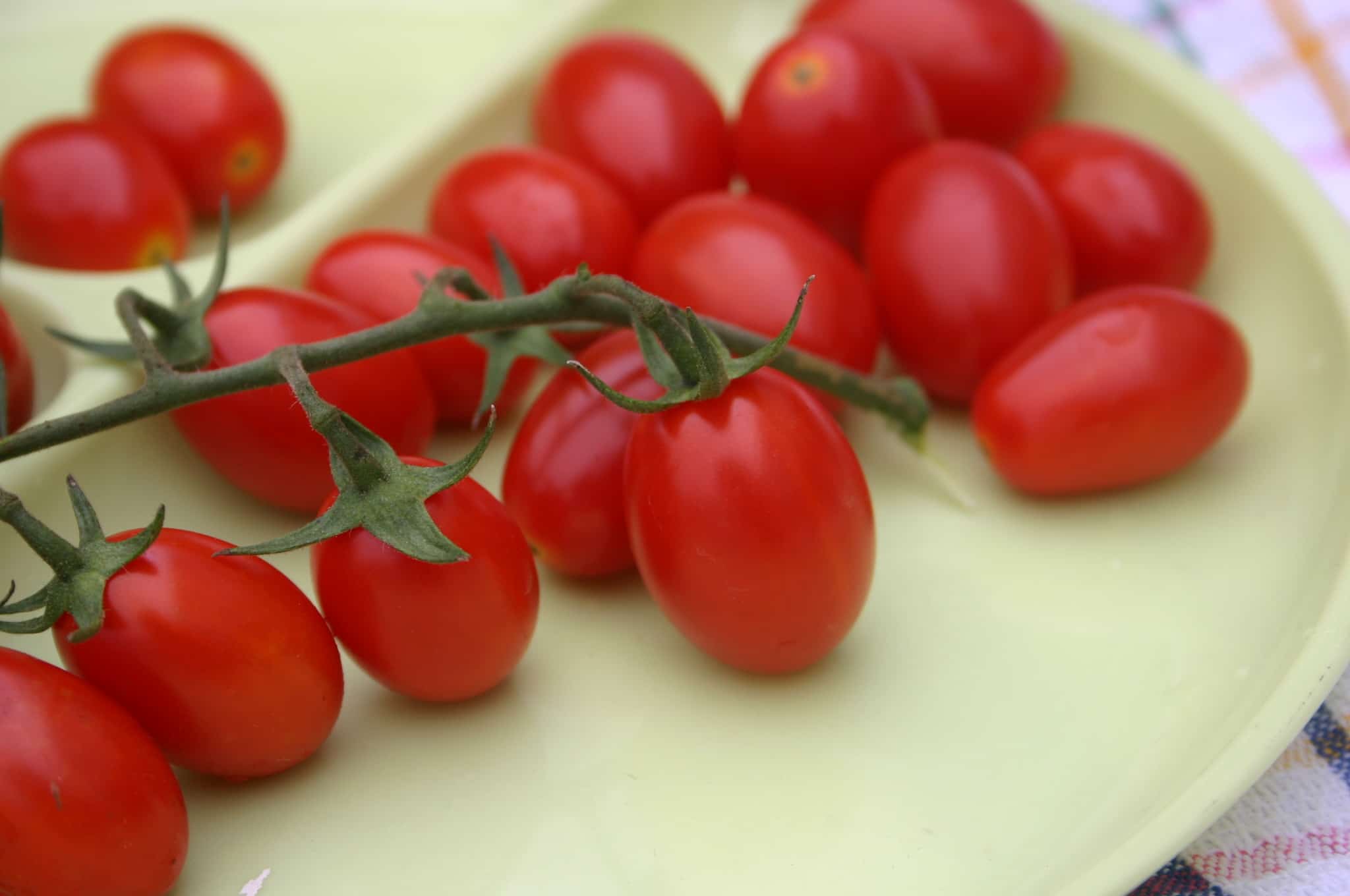 BHN 785 Tomato (Not Treated) (Grape)