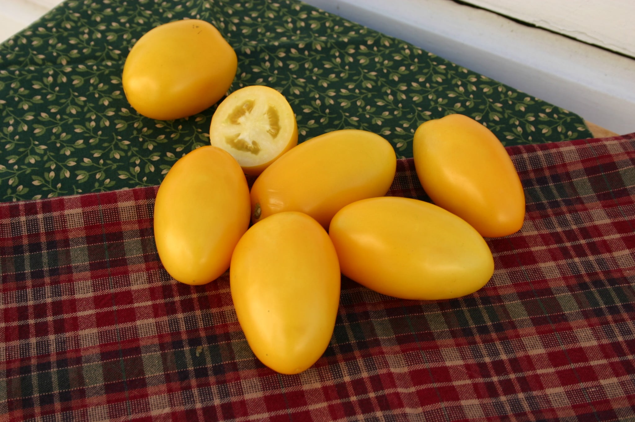 BHN 901 Tomato (Not Treated)