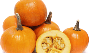 Baby Pam Pumpkin (Not Treated)