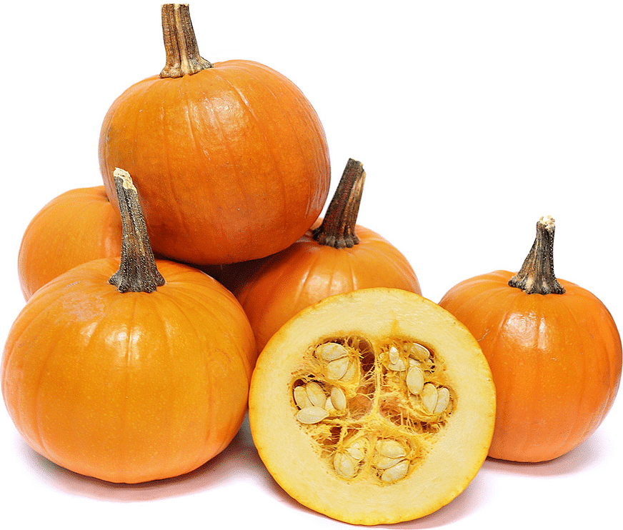 Baby Pam Pumpkin (Not Treated)