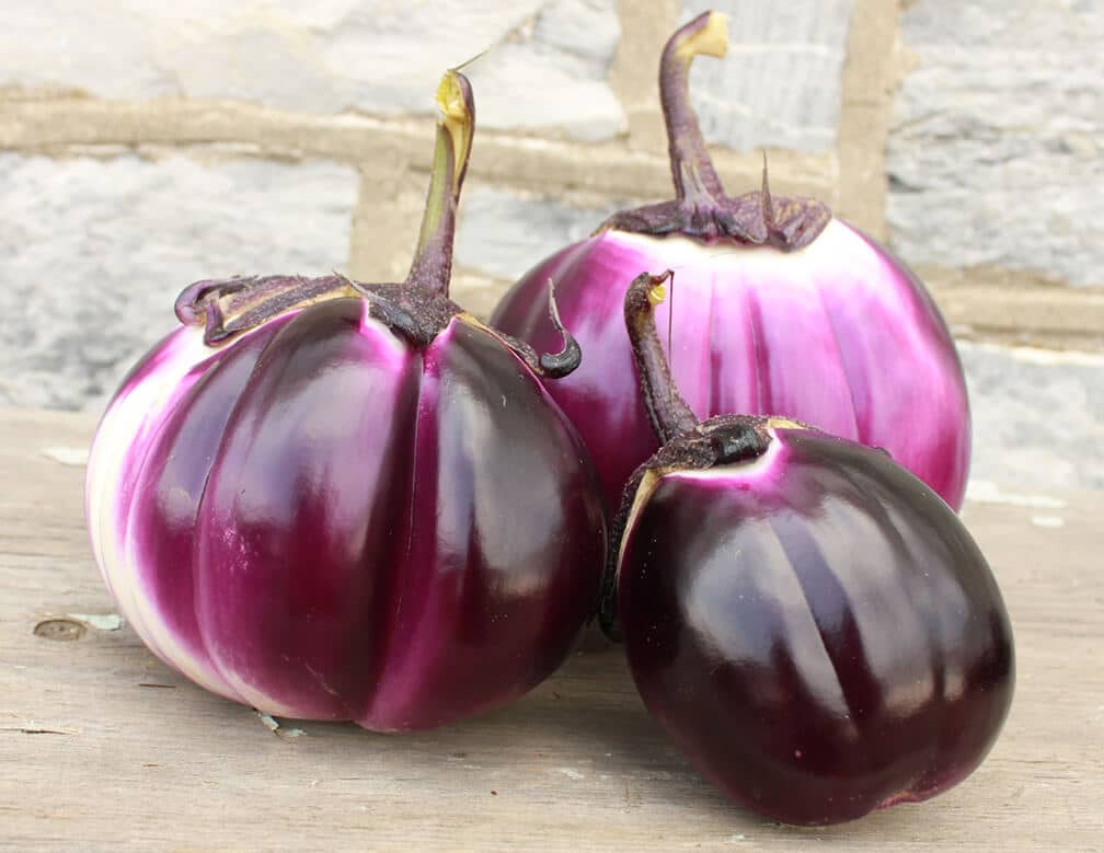 Barbarella Eggplant (Not Treated)