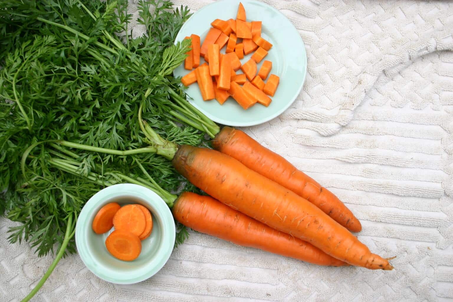 Bastia Carrot (Treated Seed) - Image 4