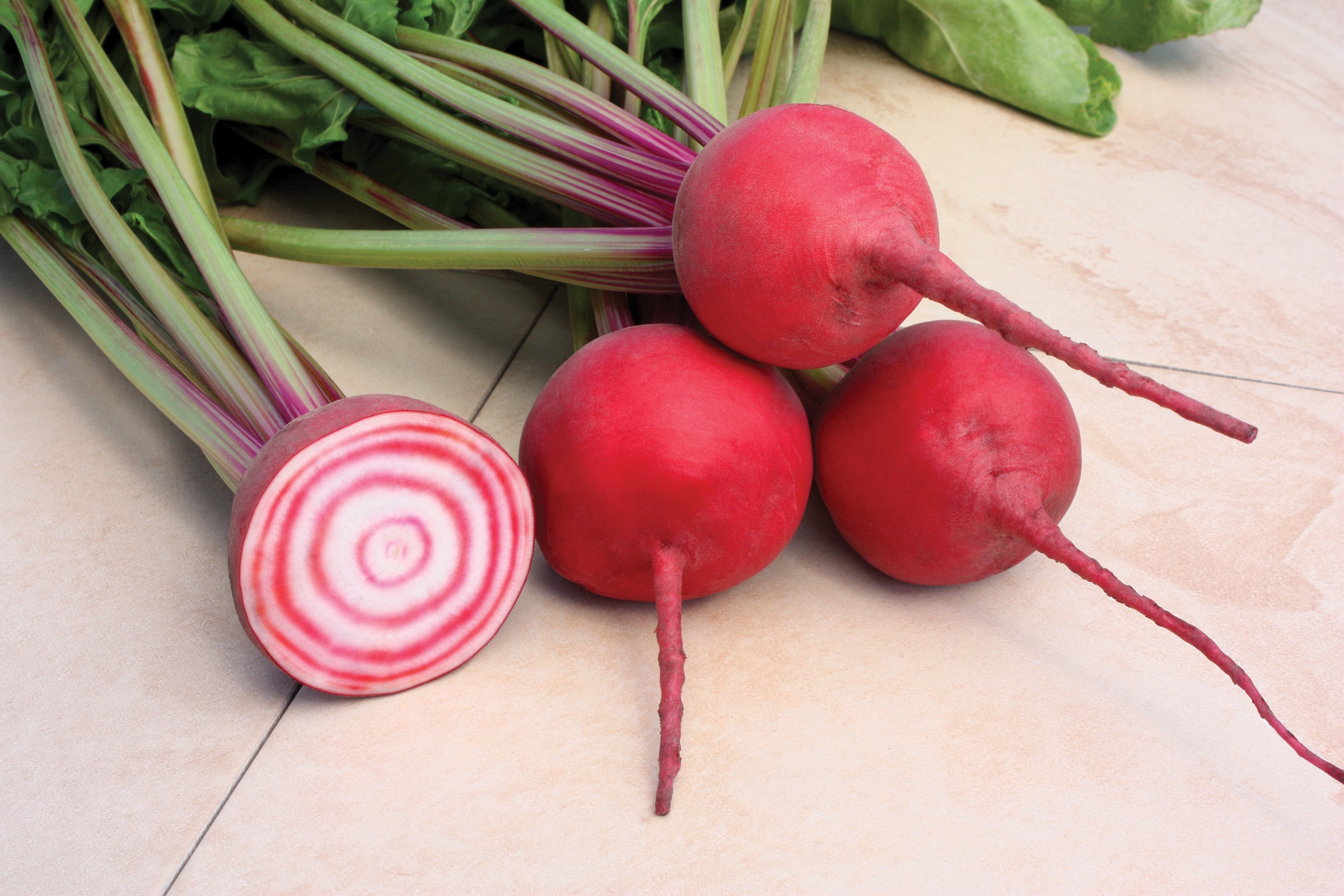 Chioggia Guardsmark Beet (Treated Seed)