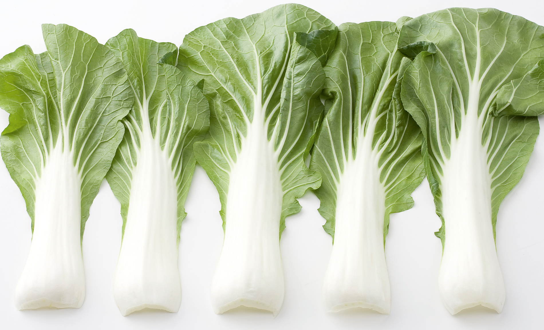 Bopak Pak Choi (ORGANIC) - Image 3