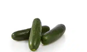 Bristol Cucumber (Farmore Treated)