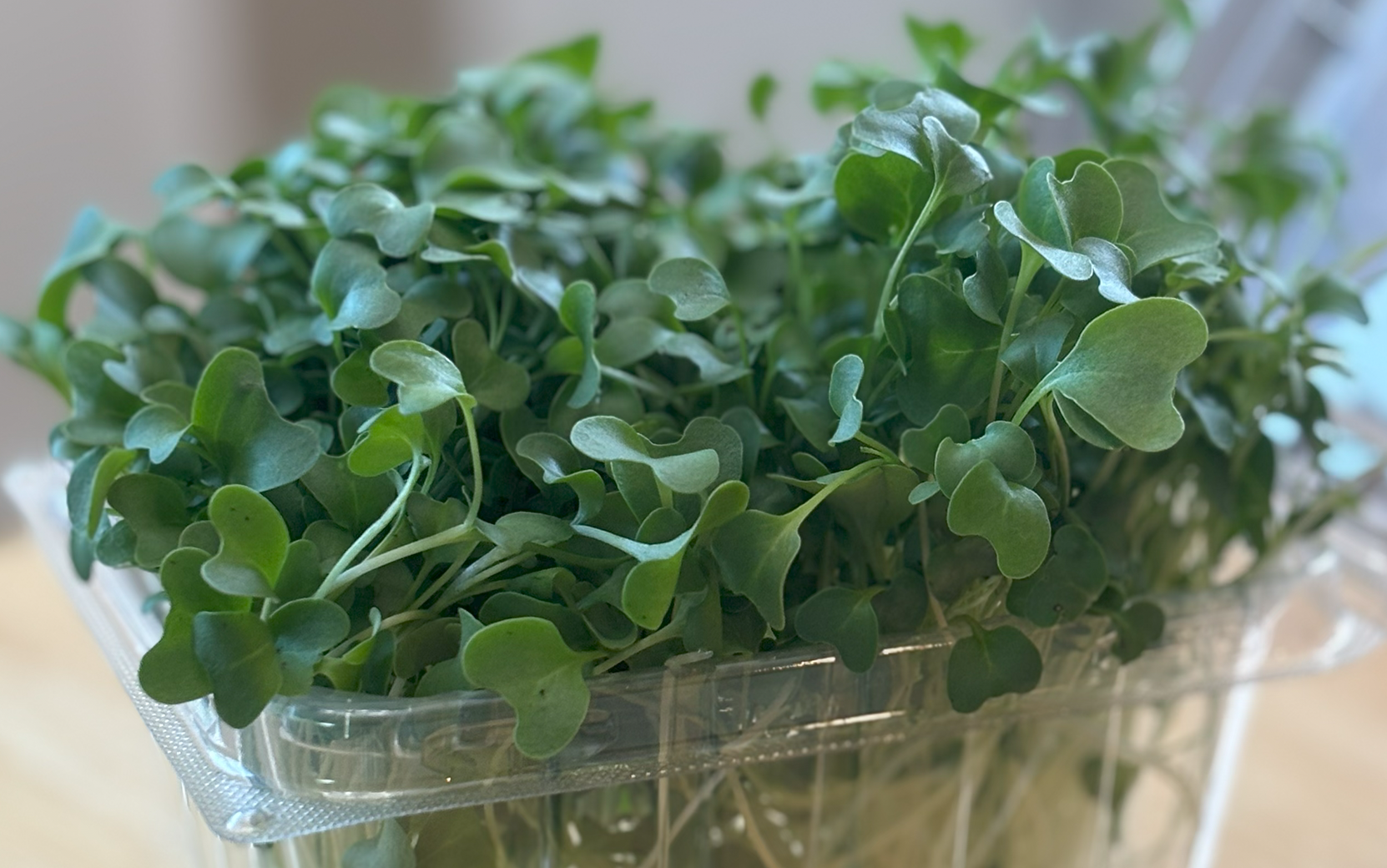 Green Sprouting Broccoli Calabrese (Not Treated) - Image 5