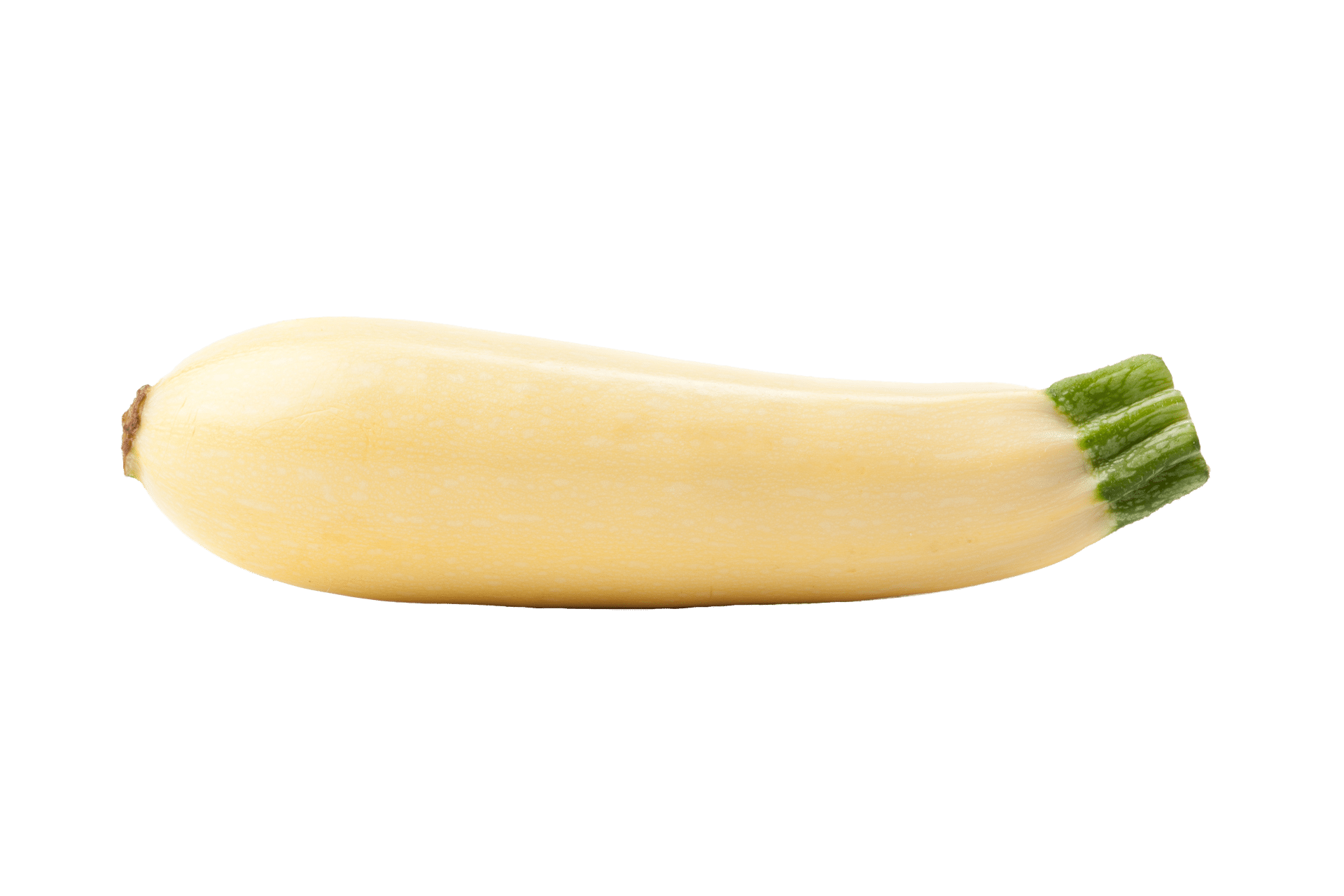 Butta Zucchini (Not Treated)