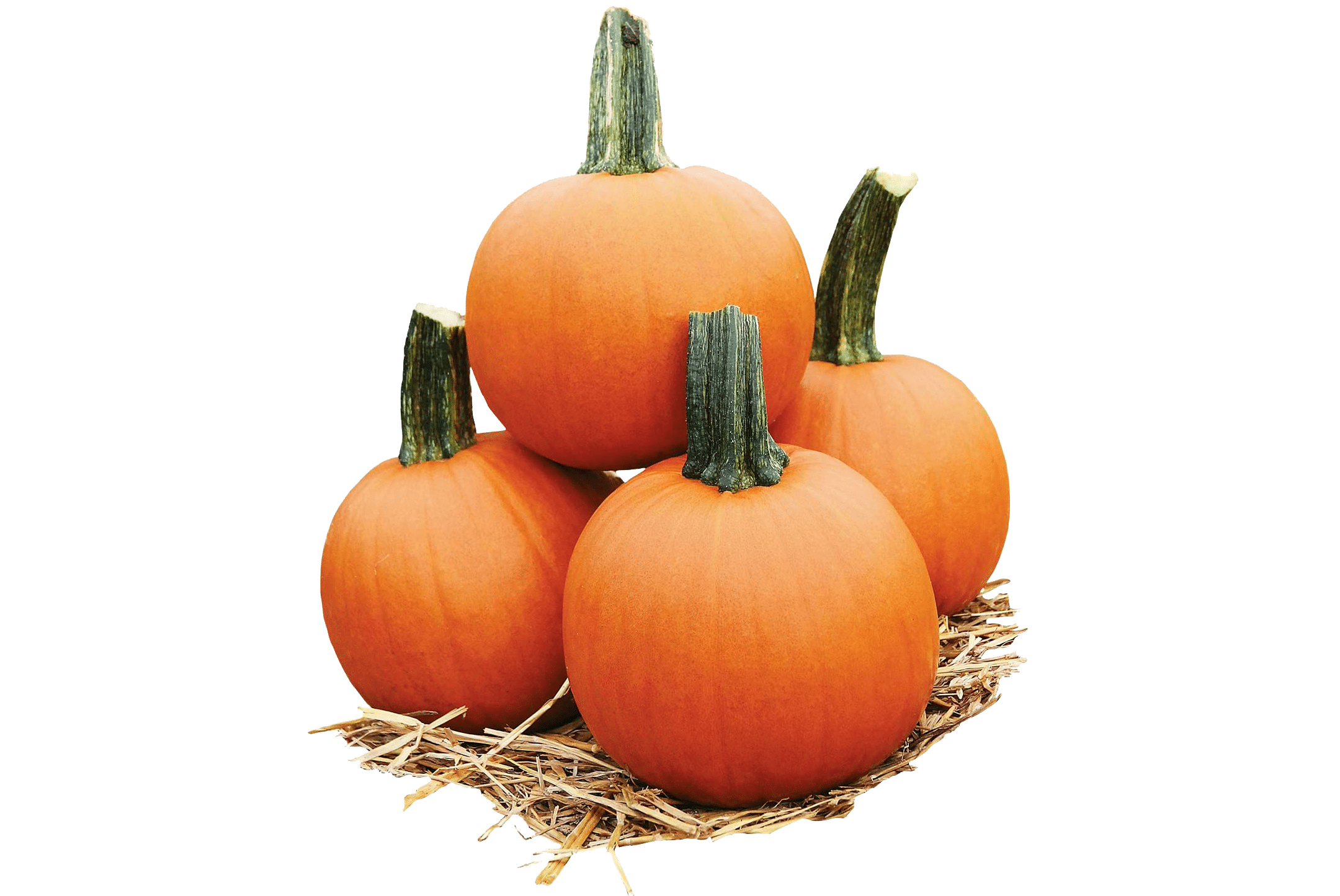Cannonball Pumpkin (Farmore)