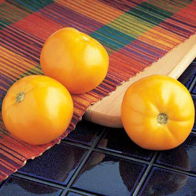 Carolina Gold Tomato (Treated Seed)