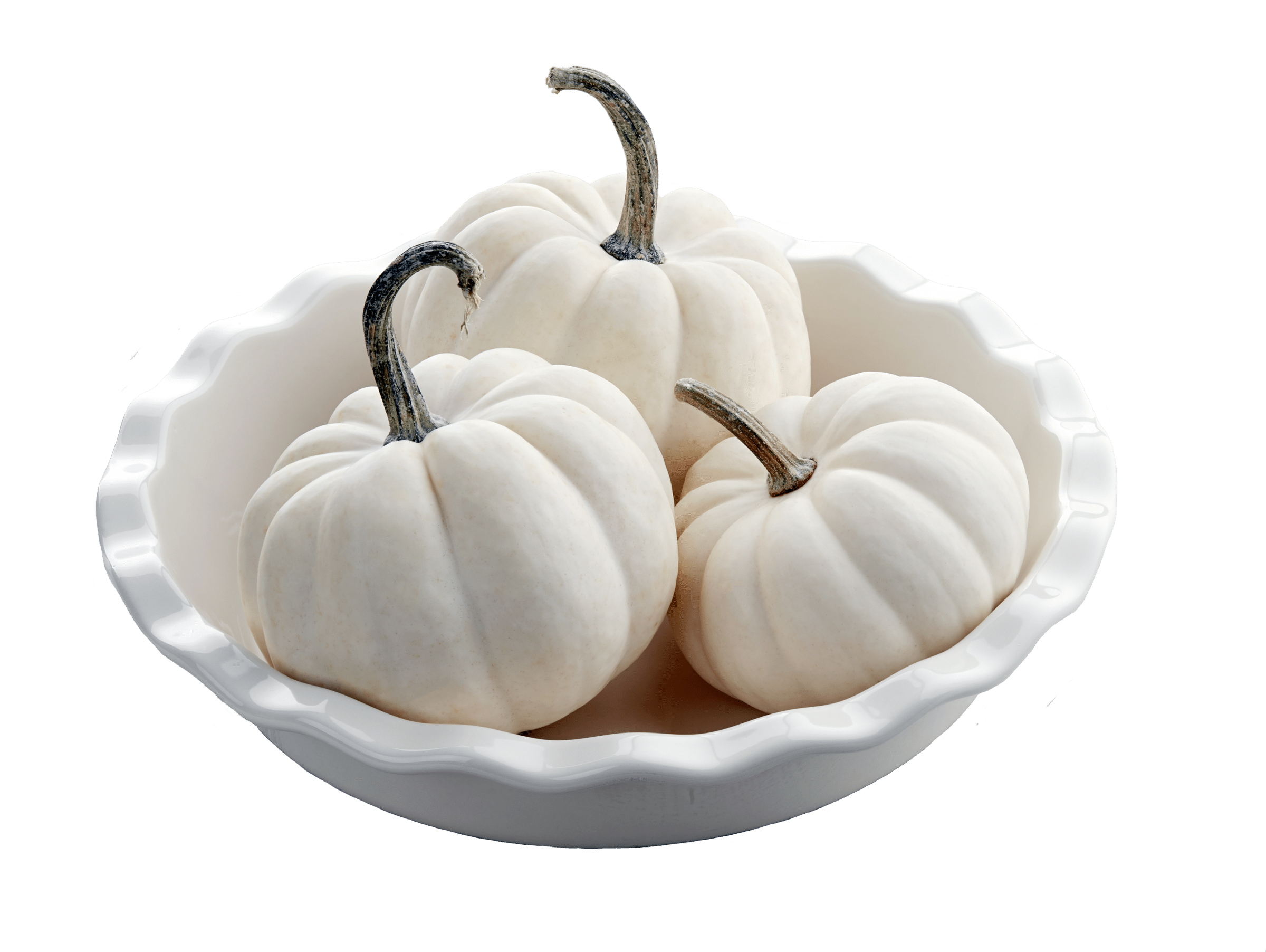 Casperita Pumpkin (Farmore)