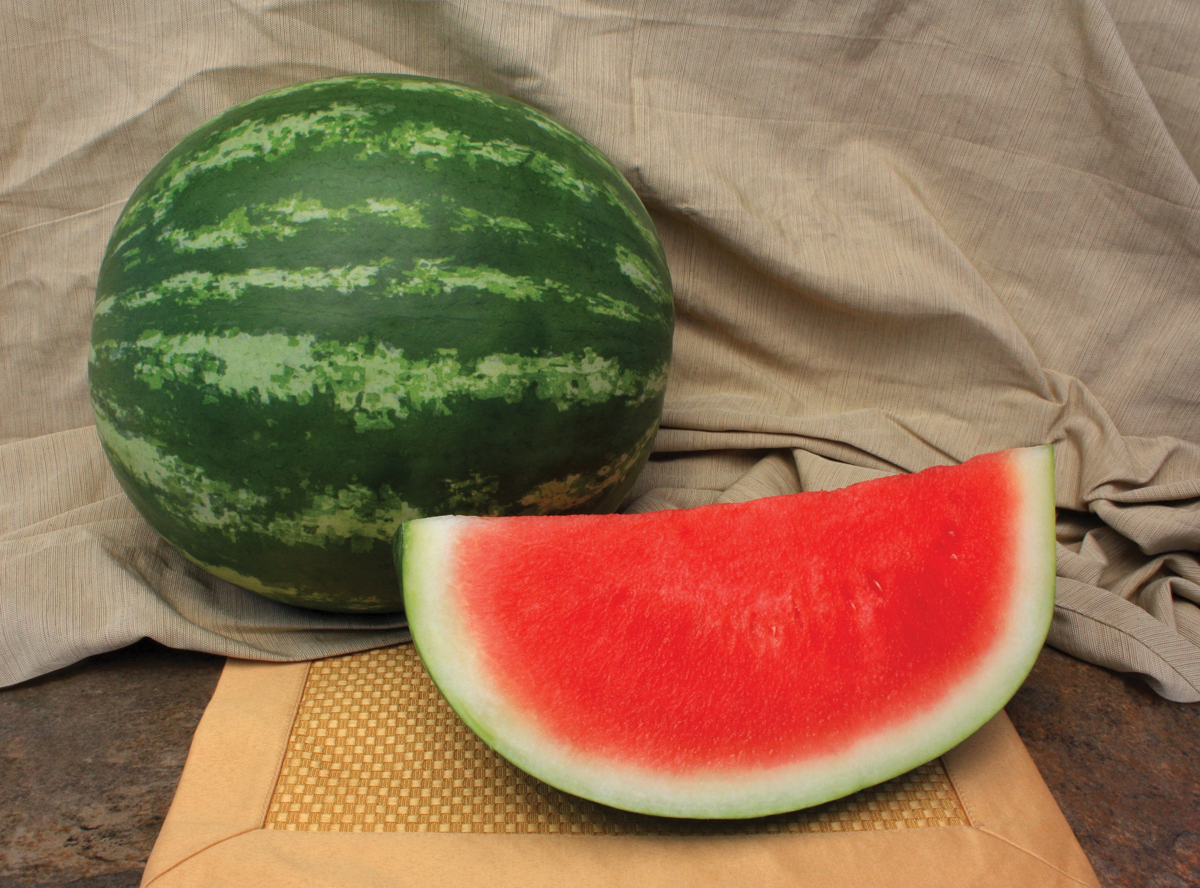 Charismatic Watermelon (Primed) - Image 2