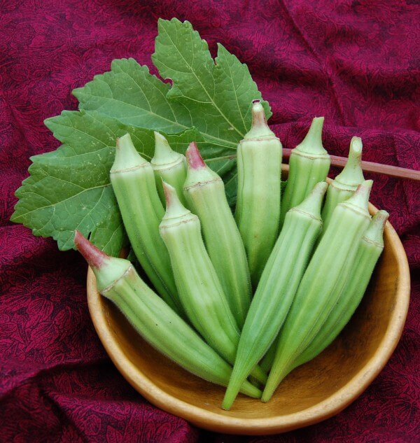 Clemson Spineless Okra (Treated Seed)
