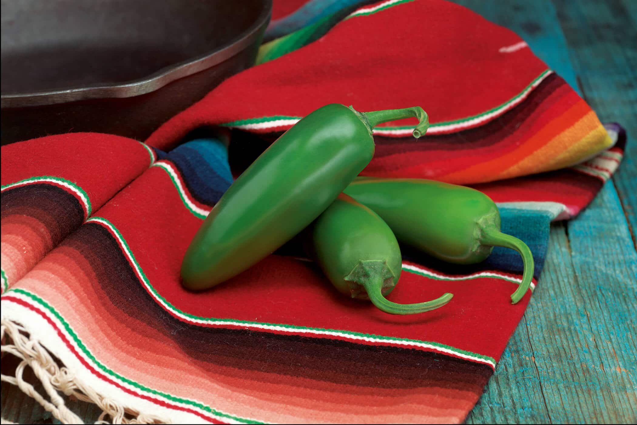 Compadre Jalapeno Pepper (Treated Seed)