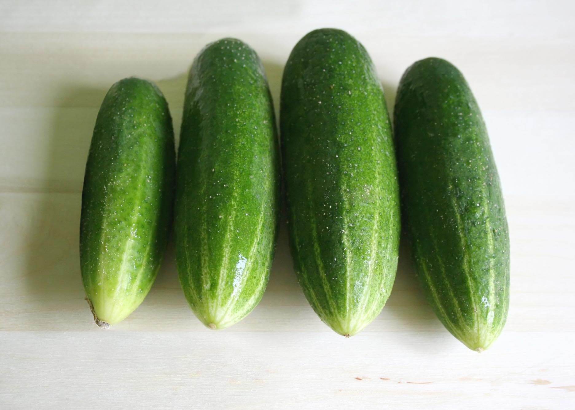 Straight 8 Cucumber (Treated Seeds)