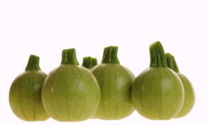 Cue Ball Squash (Not Treated)