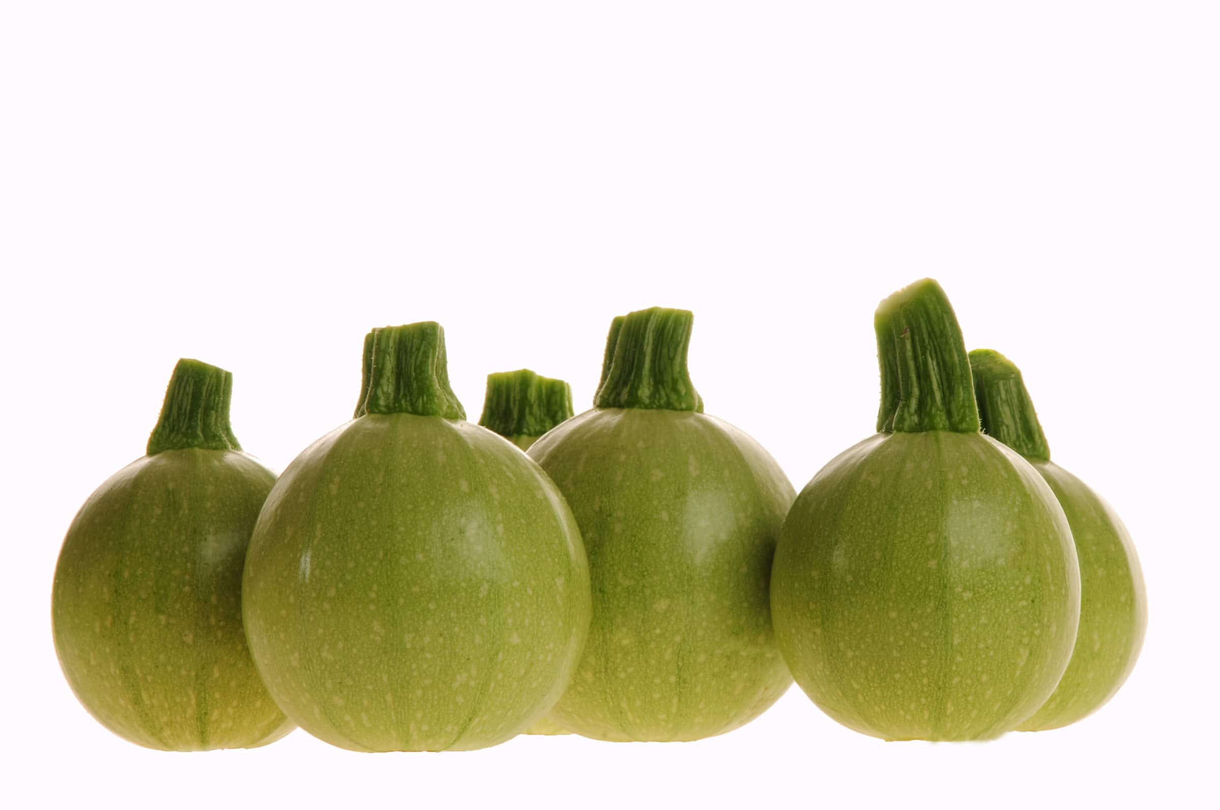 Cue Ball Squash (Not Treated)