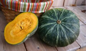Delica Squash (Farmore)