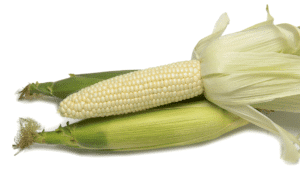 Devotion II Sweet Corn (Performance Series) (Cruiser Treated)