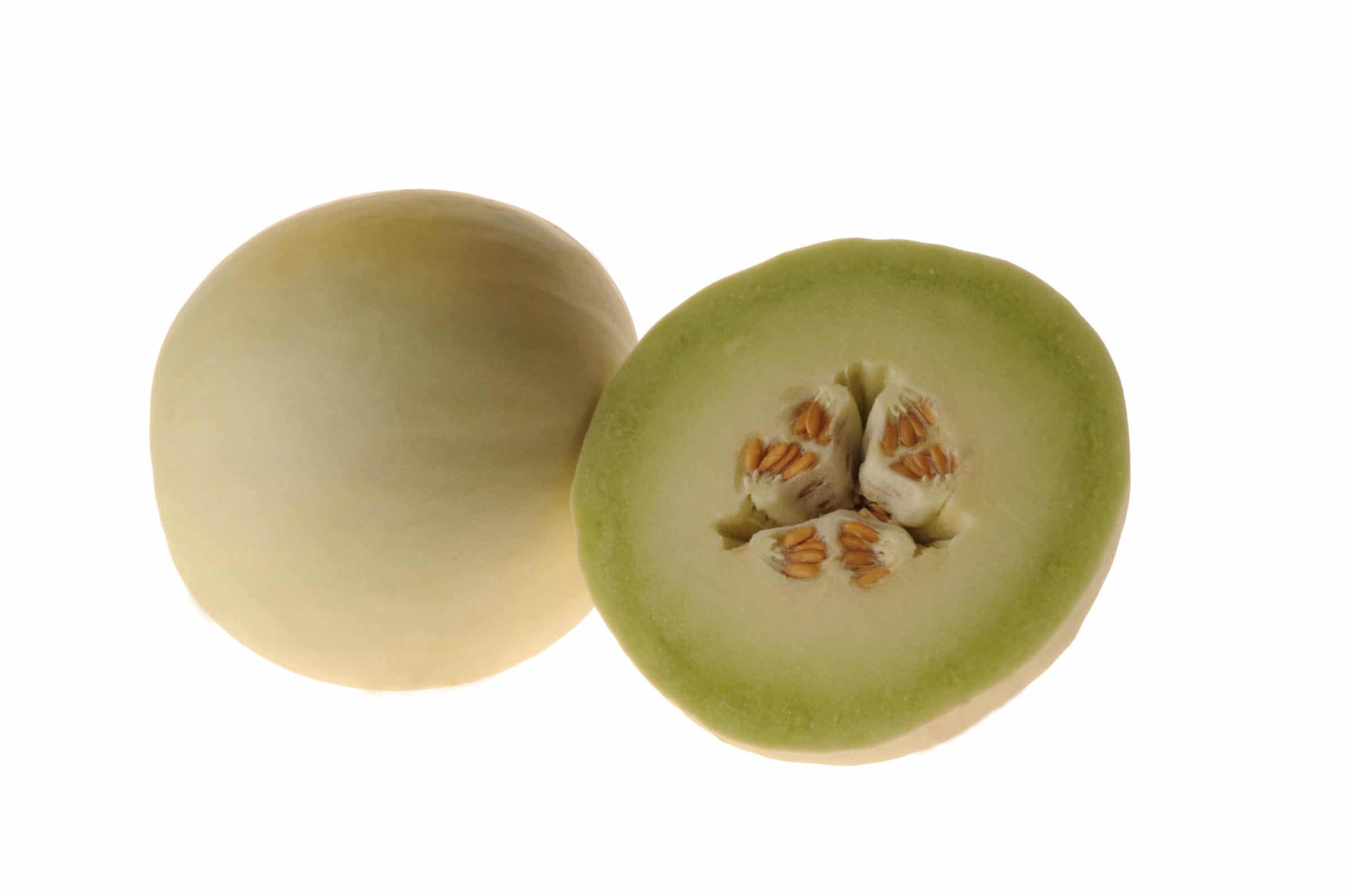 Dewlightful Honeydew (Treated Seed)
