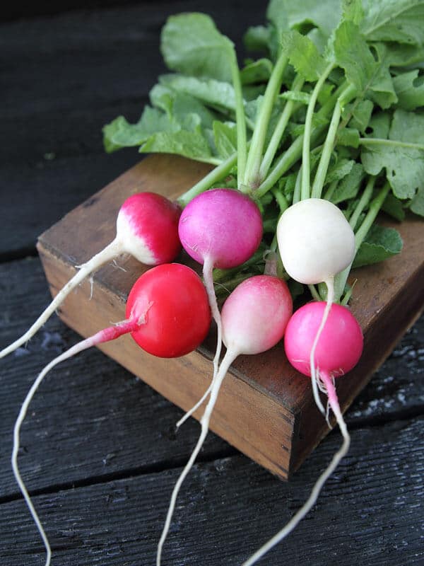 Easter Egg Radish (Treated Seed)