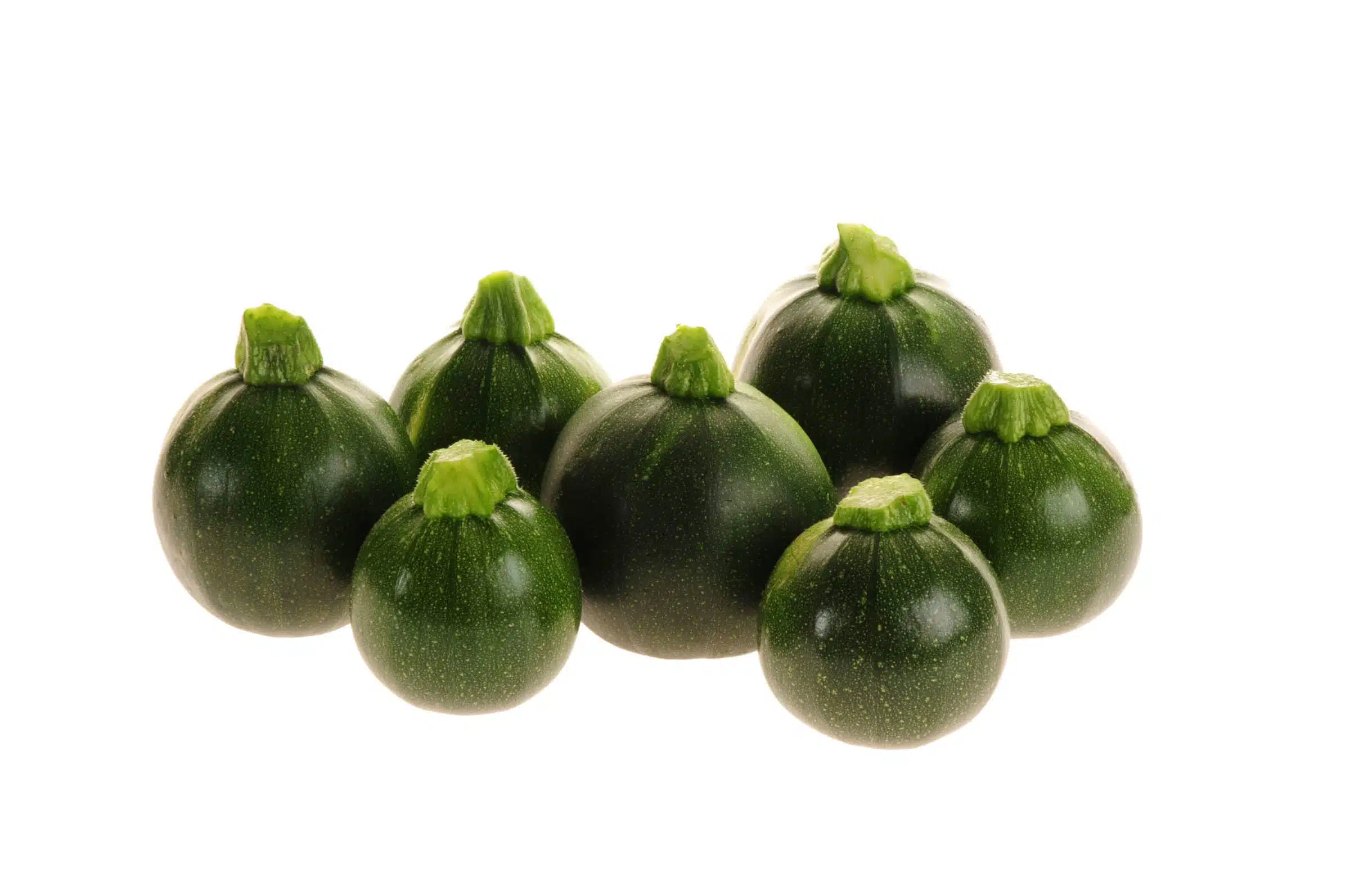 Eight Ball Squash (Not Treated)