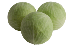 Expect Cabbage (Not Treated)