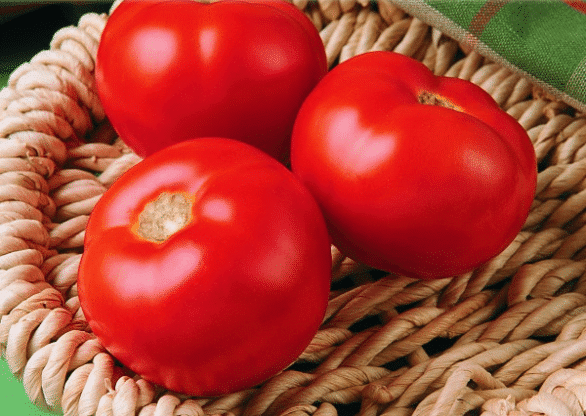 Florida 91 Tomato (Pelleted)