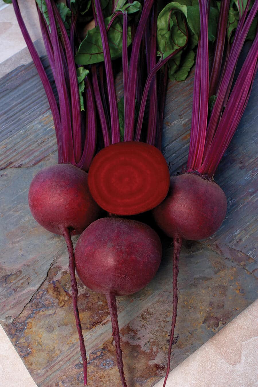 Falcon Beet (Not Treated)