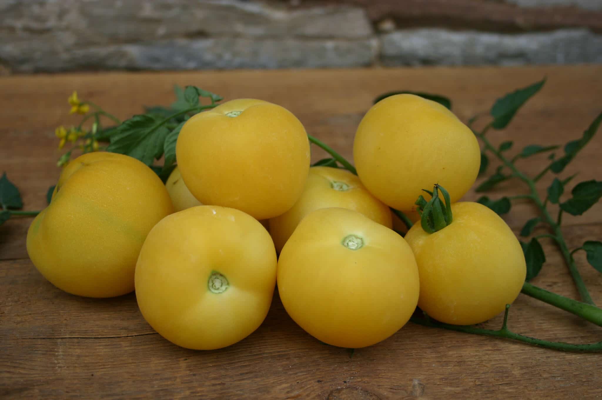 Garden Peach Tomato (Organic)