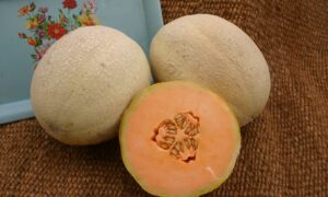 Goddess Cantaloupe (Not Treated)