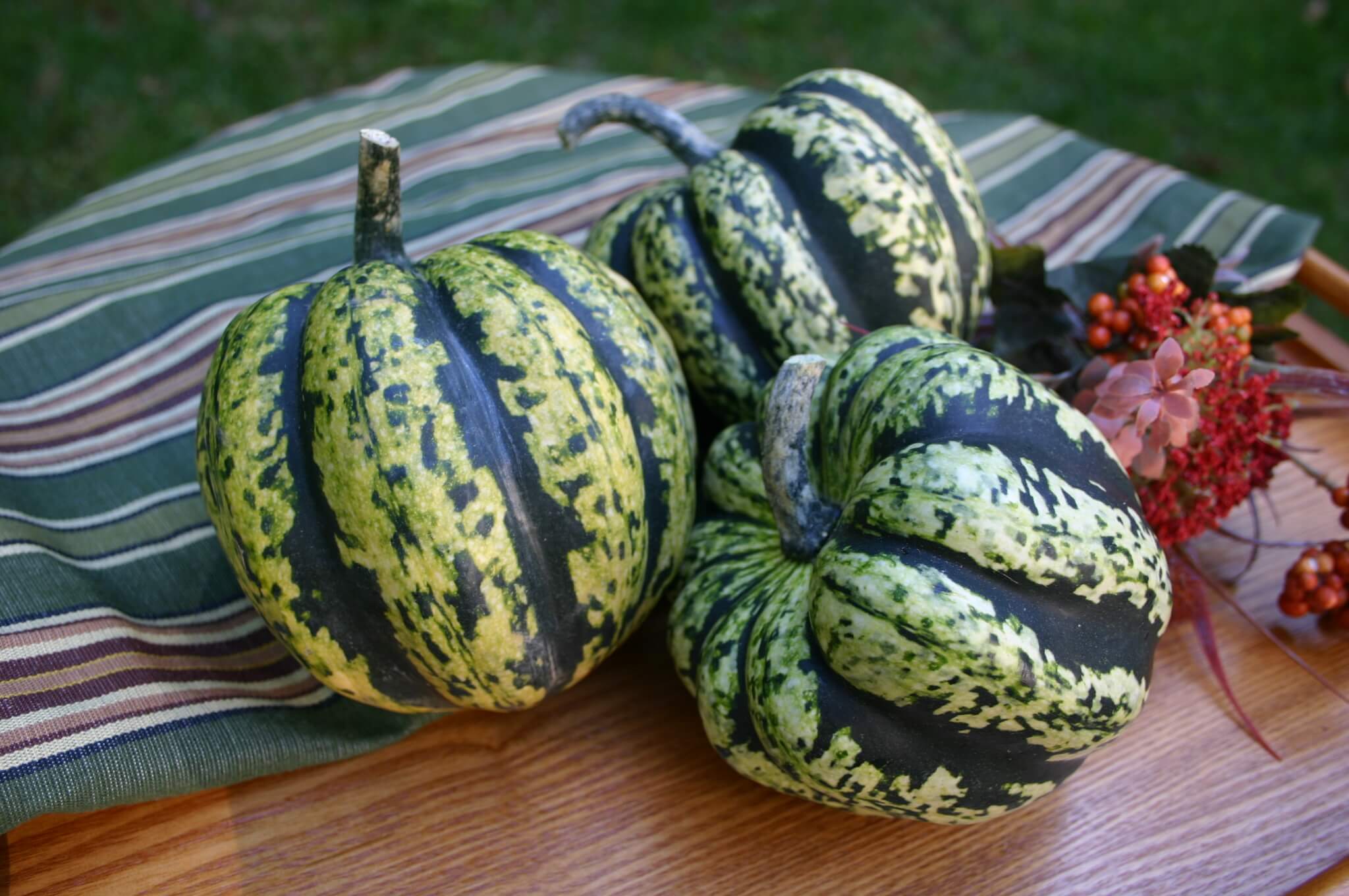 Heart Of Gold Squash (Farmore)
