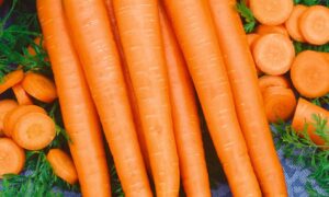 Imperator 58 Carrot (Treated Seed)