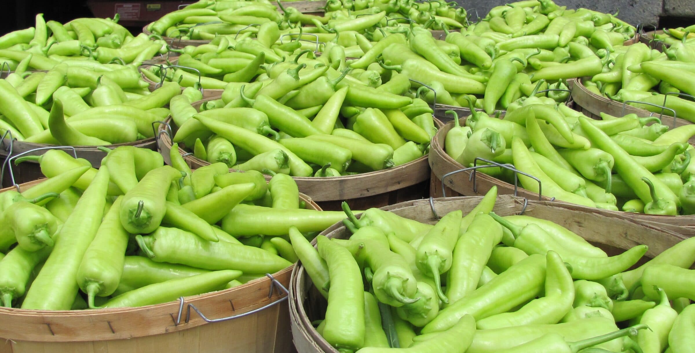 Inferno Banana Pepper (Not Treated) - Image 3