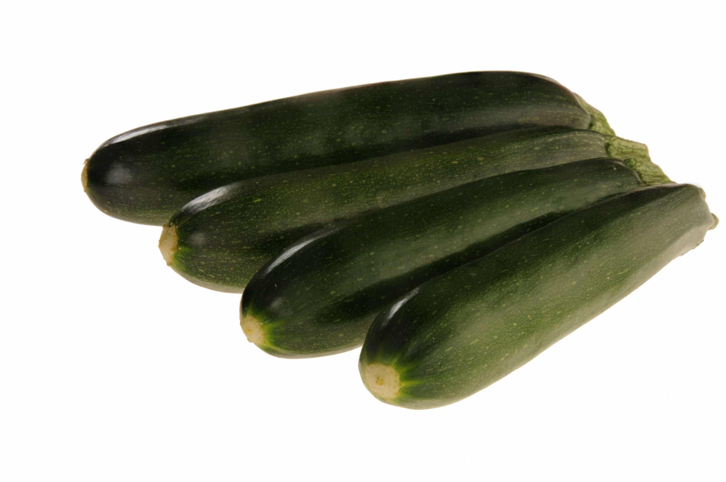 Jackpot Zucchini (Treated Seed)