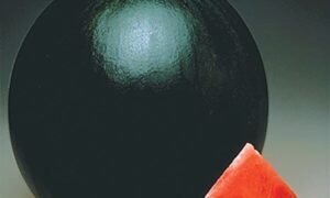 Jade Star Watermelon (Farmore Treated Seed)