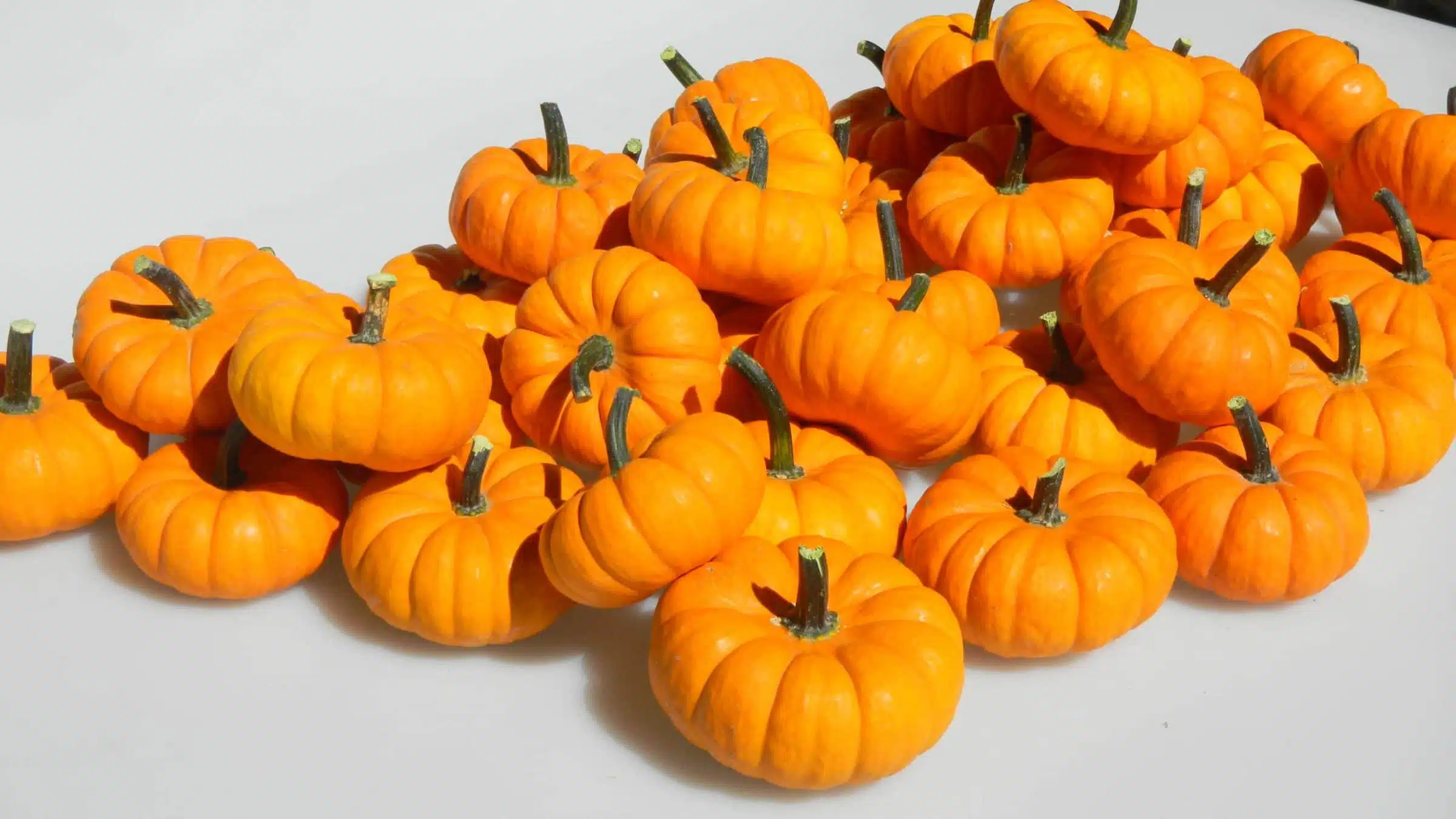 Jill Be Little Pumpkin (Farmore)