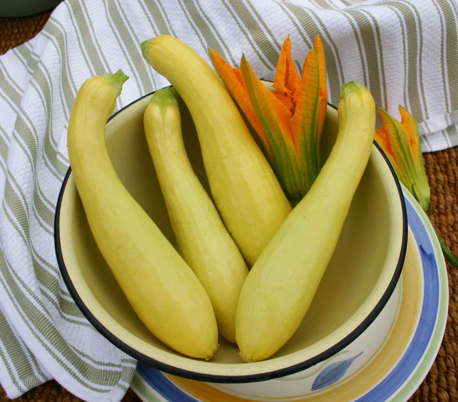 Lioness Squash (Farmore)
