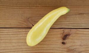 Lazor Squash (Farmore)