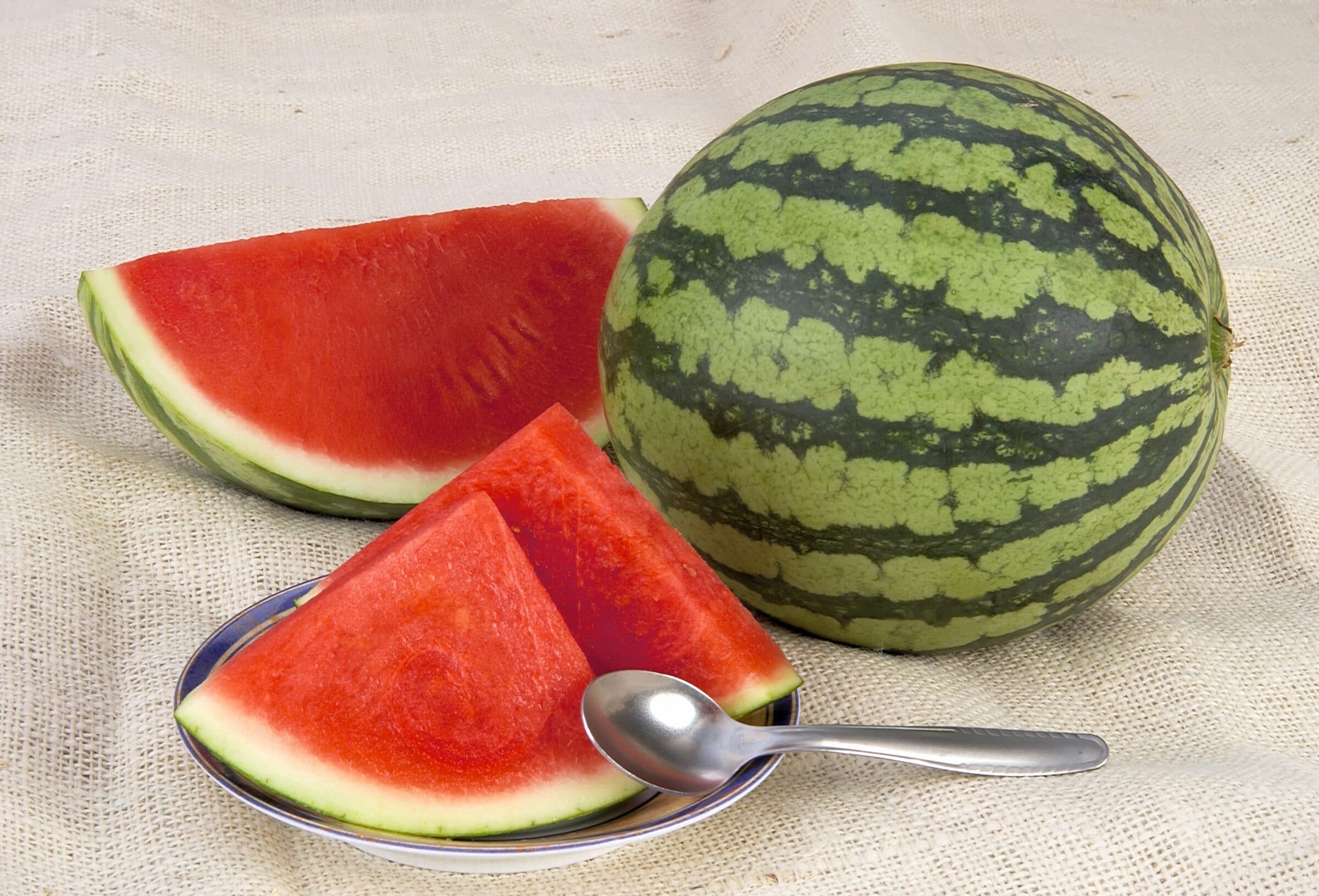 Leopard Watermelon (Not Treated) - Image 2