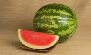 Liberty Watermelon (Primed)