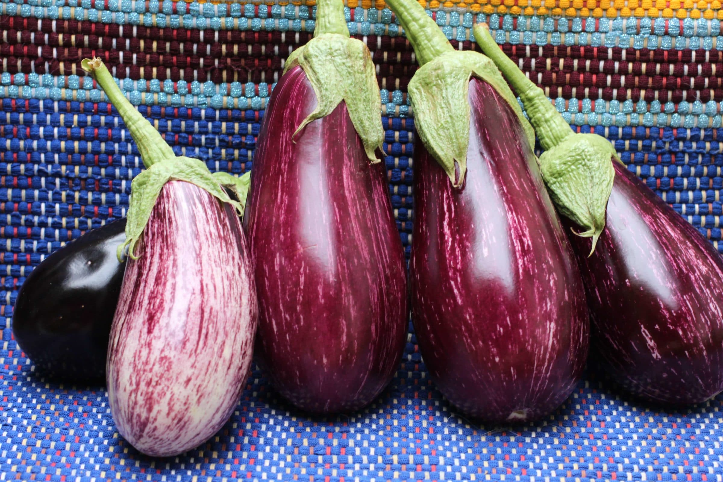 Lucilla Eggplant (Not Treated)