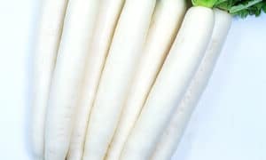 Minowase Summer Cross Radish (Treated Seed)